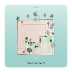 vivienda-proyecto-arquitectura-idea