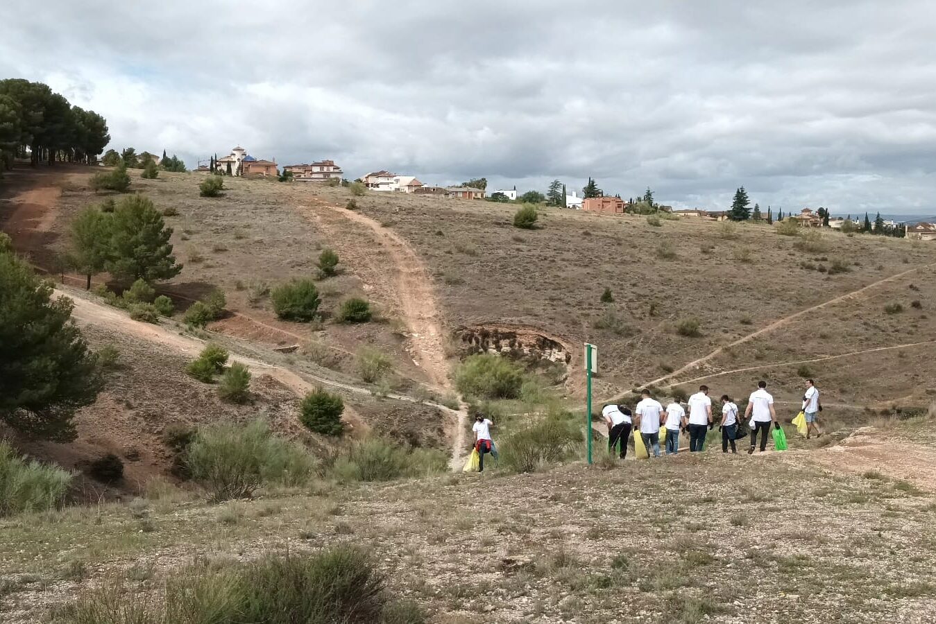 teambuilding green- recogida basura