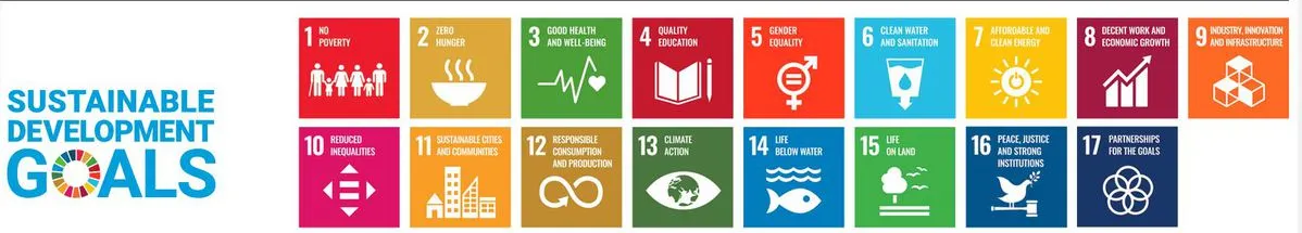 teambuilding green - sostenible