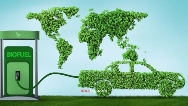 Biocombustibles: El Futuro de la Movilidad Sostenible
