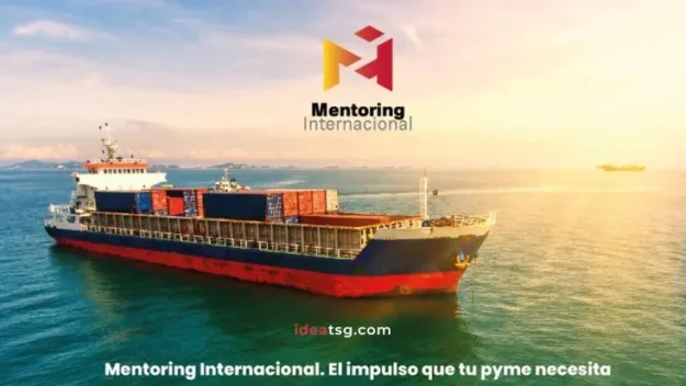 programa mentoring internacional