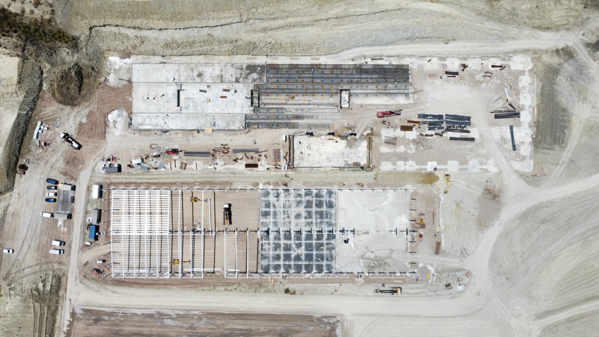 planta de cobre verde cunext