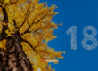 18 años de IDEA TSG