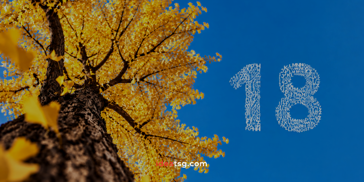 18 años de IDEA TSG